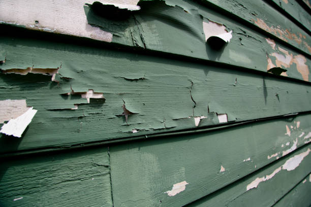 Recycling Services for Junk in Kettle Falls, WA